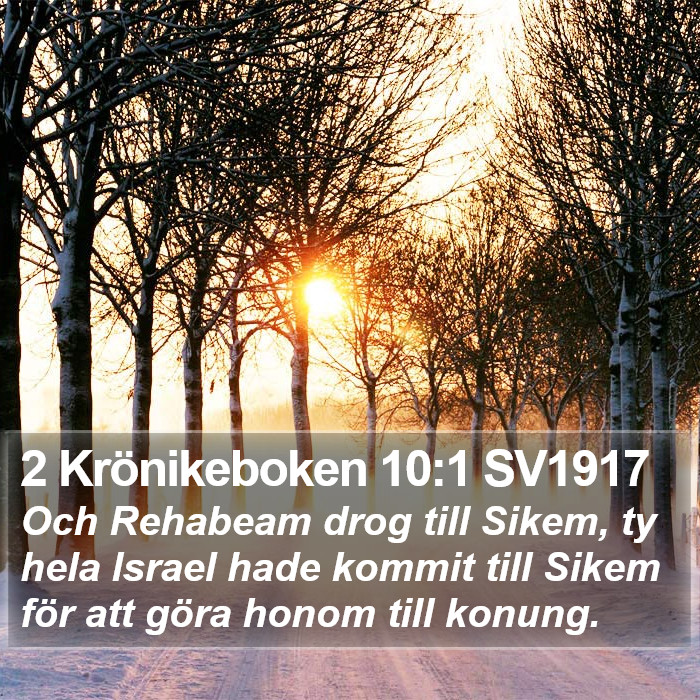 2 Krönikeboken 10:1 SV1917 Bible Study