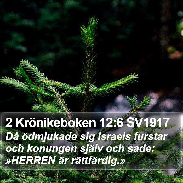2 Krönikeboken 12:6 SV1917 Bible Study