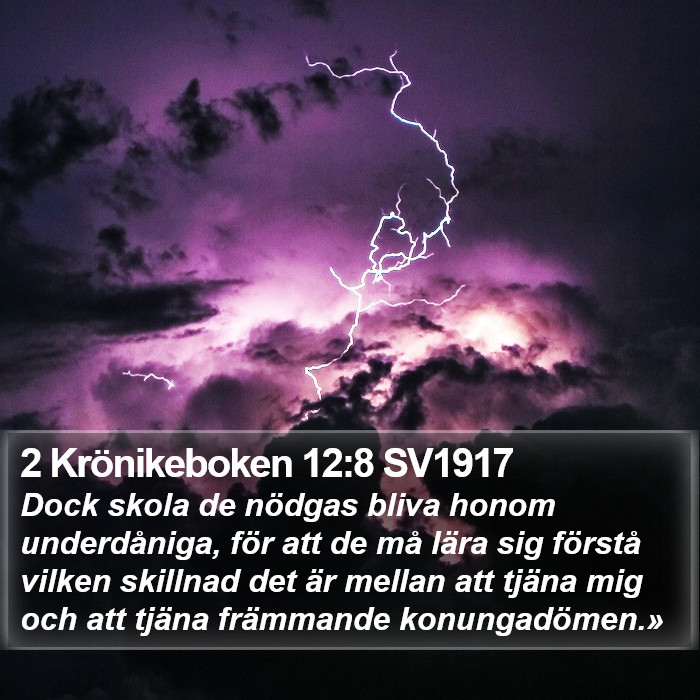 2 Krönikeboken 12:8 SV1917 Bible Study