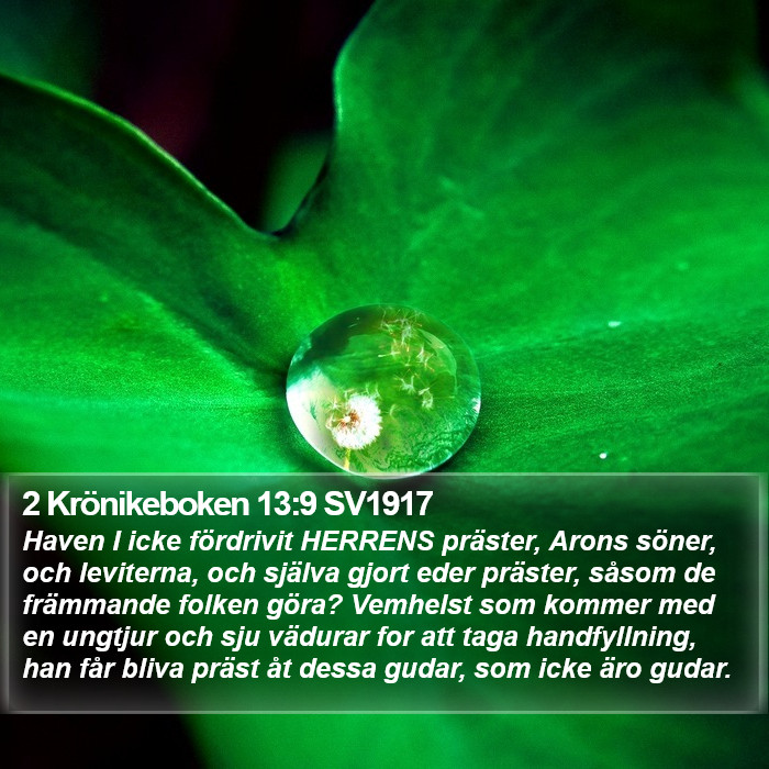2 Krönikeboken 13:9 SV1917 Bible Study