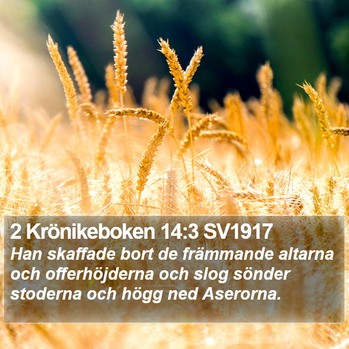 2 Krönikeboken 14:3 SV1917 Bible Study