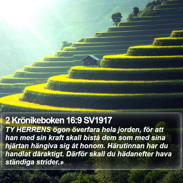 2 Krönikeboken 16:9 SV1917 Bible Study