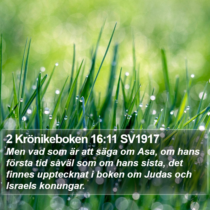 2 Krönikeboken 16:11 SV1917 Bible Study