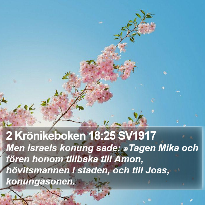 2 Krönikeboken 18:25 SV1917 Bible Study