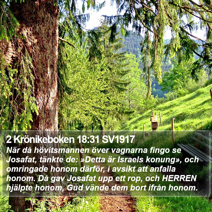 2 Krönikeboken 18:31 SV1917 Bible Study