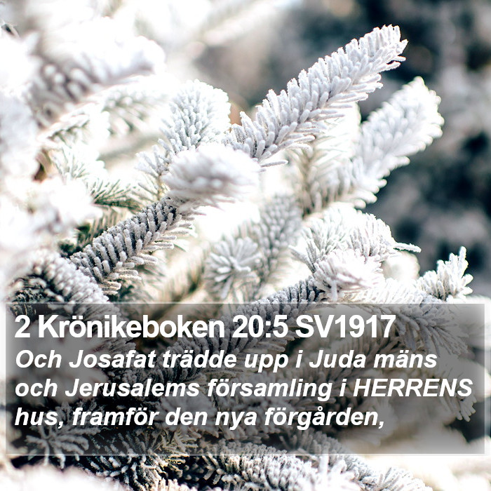 2 Krönikeboken 20:5 SV1917 Bible Study
