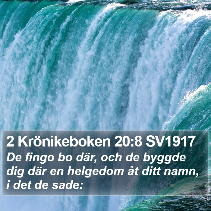 2 Krönikeboken 20:8 SV1917 Bible Study