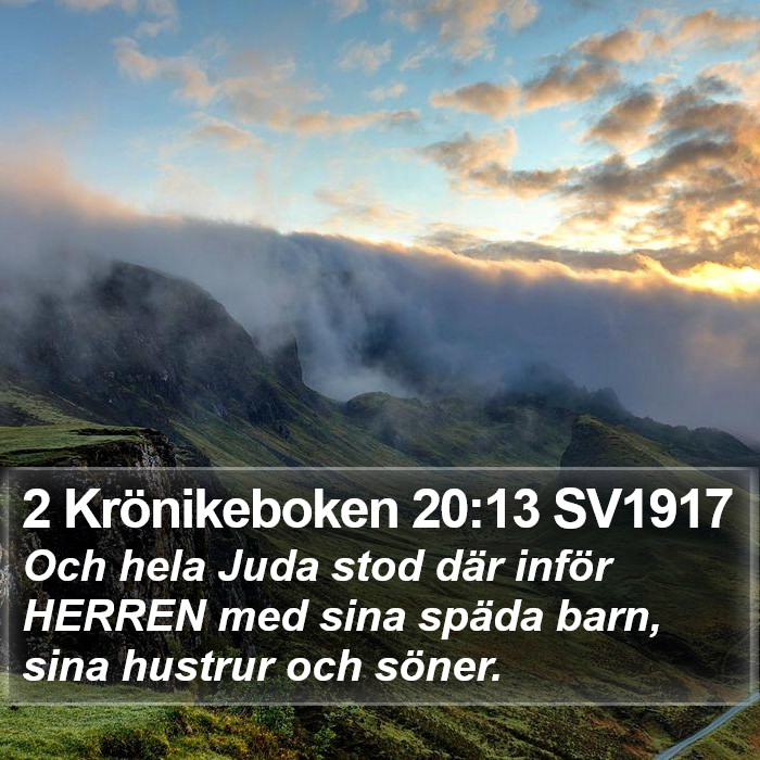 2 Krönikeboken 20:13 SV1917 Bible Study