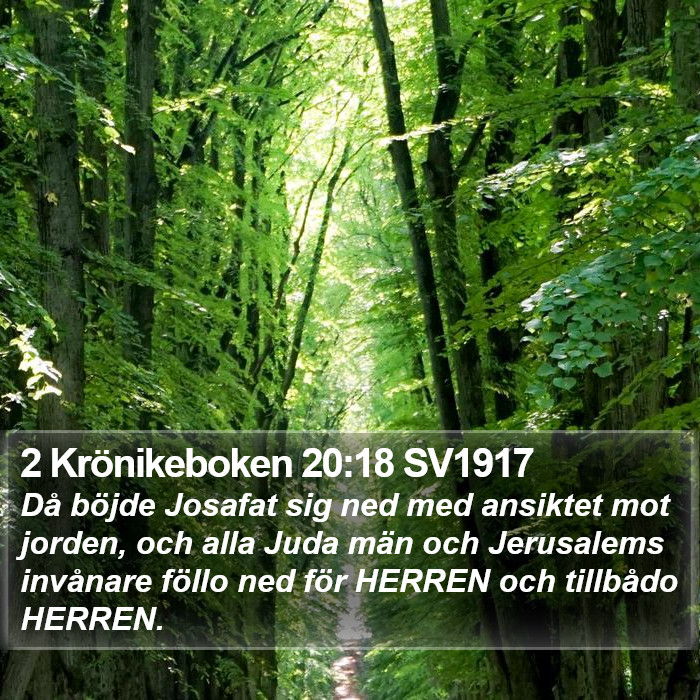 2 Krönikeboken 20:18 SV1917 Bible Study
