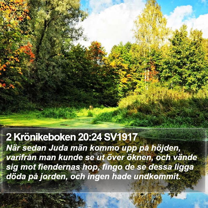 2 Krönikeboken 20:24 SV1917 Bible Study