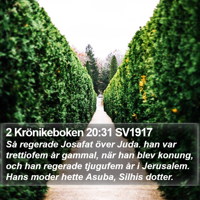 2 Krönikeboken 20:31 SV1917 Bible Study