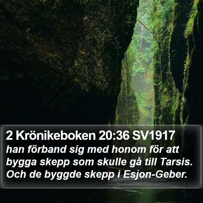 2 Krönikeboken 20:36 SV1917 Bible Study