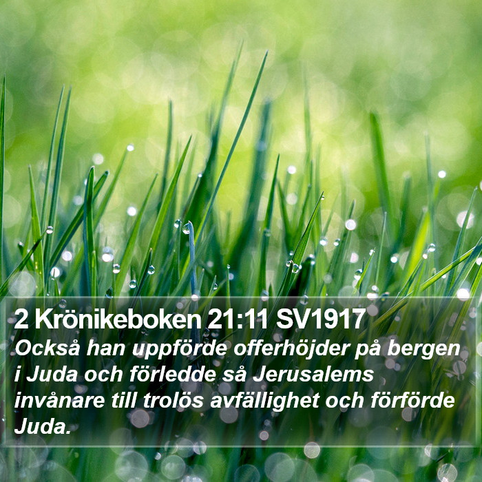 2 Krönikeboken 21:11 SV1917 Bible Study