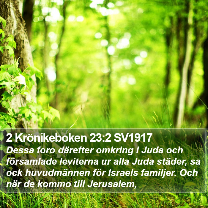 2 Krönikeboken 23:2 SV1917 Bible Study