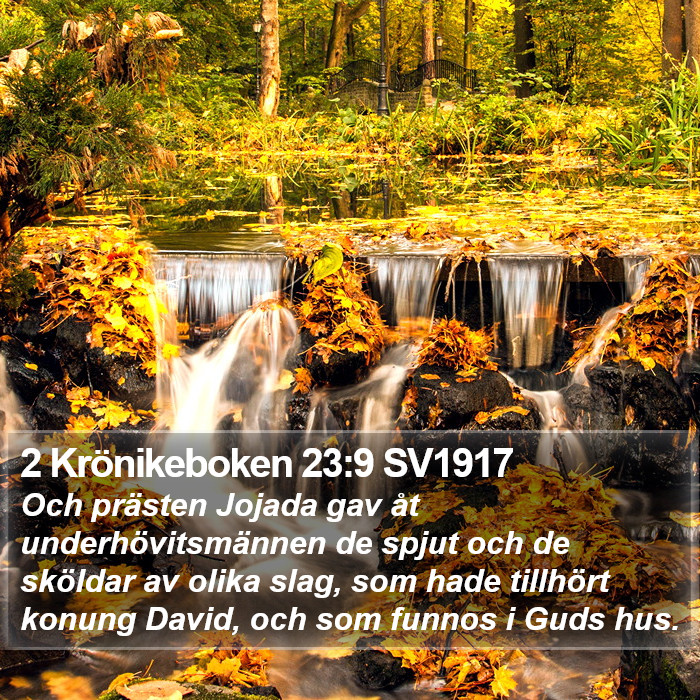 2 Krönikeboken 23:9 SV1917 Bible Study
