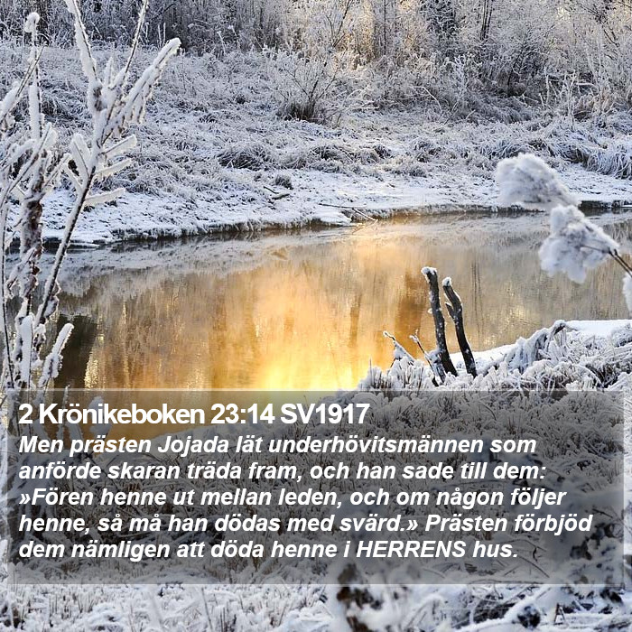 2 Krönikeboken 23:14 SV1917 Bible Study