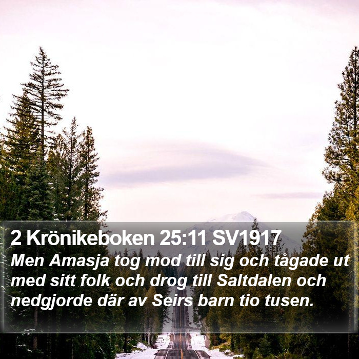2 Krönikeboken 25:11 SV1917 Bible Study