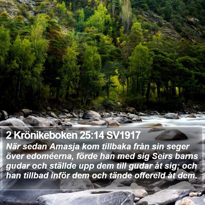 2 Krönikeboken 25:14 SV1917 Bible Study