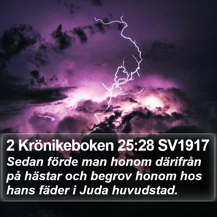 2 Krönikeboken 25:28 SV1917 Bible Study