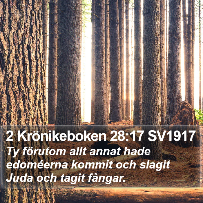 2 Krönikeboken 28:17 SV1917 Bible Study