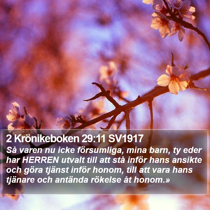2 Krönikeboken 29:11 SV1917 Bible Study