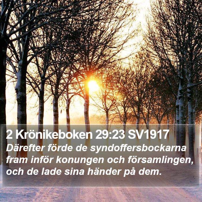 2 Krönikeboken 29:23 SV1917 Bible Study