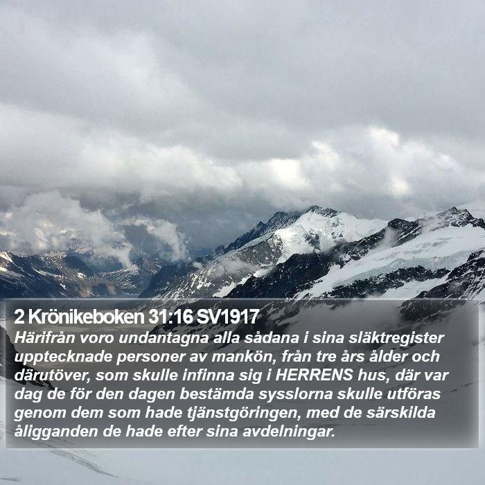 2 Krönikeboken 31:16 SV1917 Bible Study