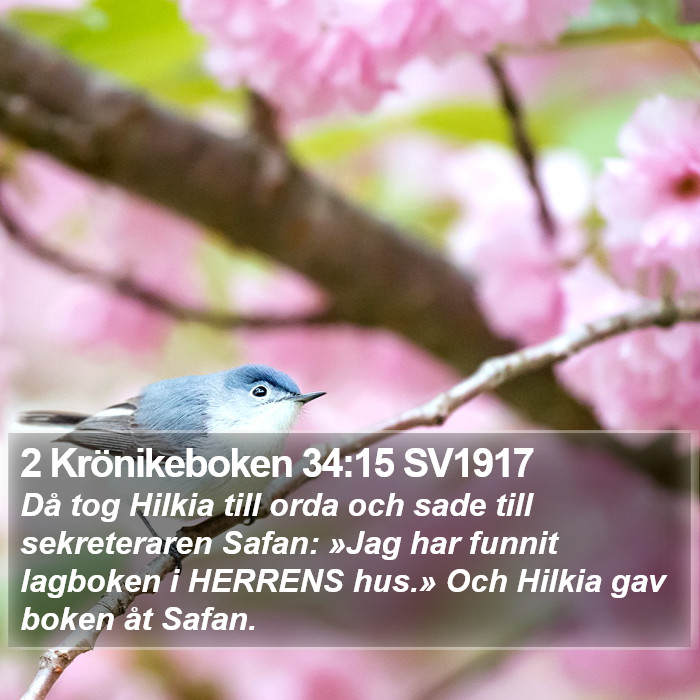 2 Krönikeboken 34:15 SV1917 Bible Study