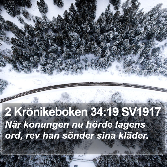 2 Krönikeboken 34:19 SV1917 Bible Study