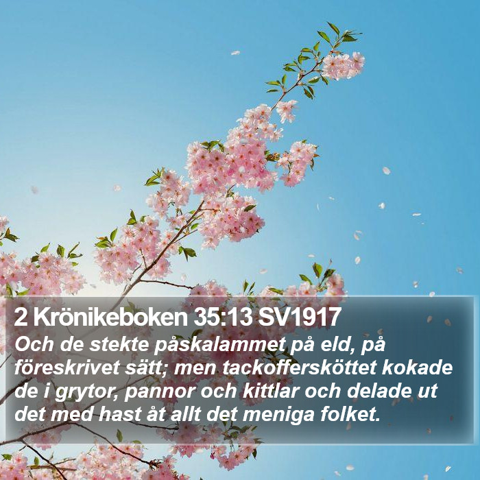 2 Krönikeboken 35:13 SV1917 Bible Study