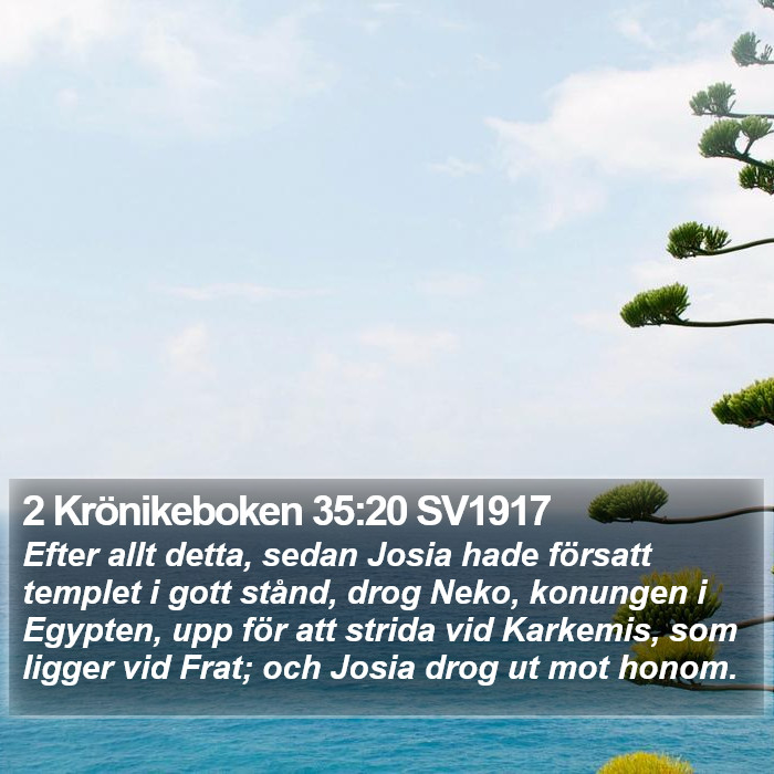 2 Krönikeboken 35:20 SV1917 Bible Study