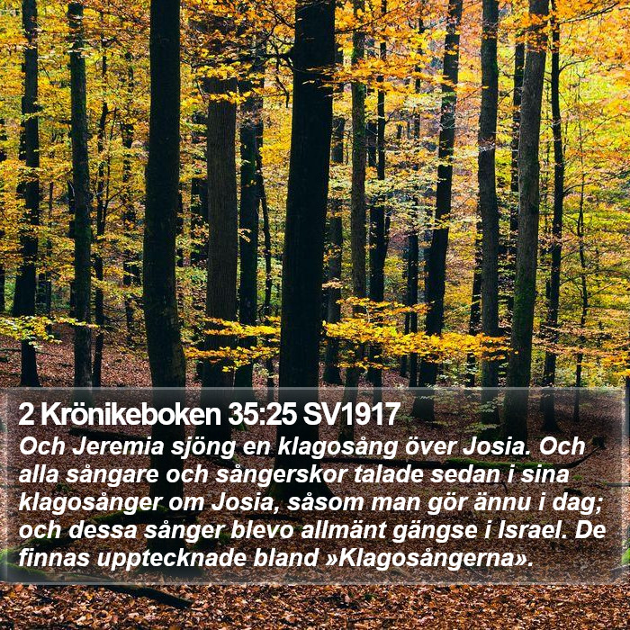 2 Krönikeboken 35:25 SV1917 Bible Study