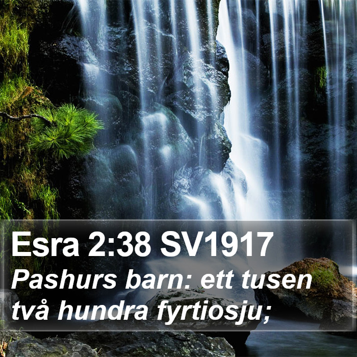 Esra 2:38 SV1917 Bible Study