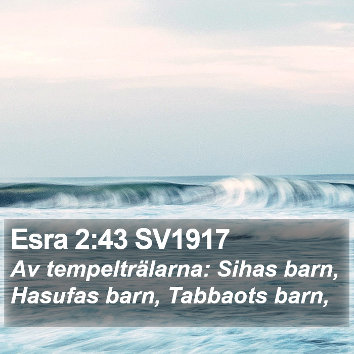 Esra 2:43 SV1917 Bible Study