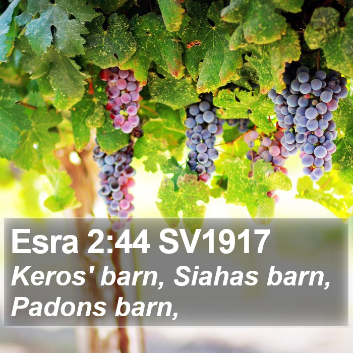 Esra 2:44 SV1917 Bible Study