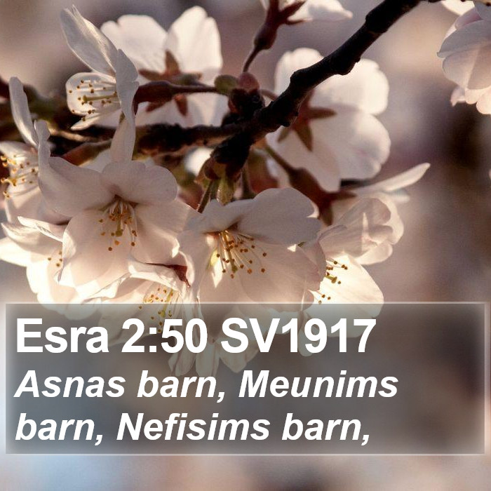 Esra 2:50 SV1917 Bible Study