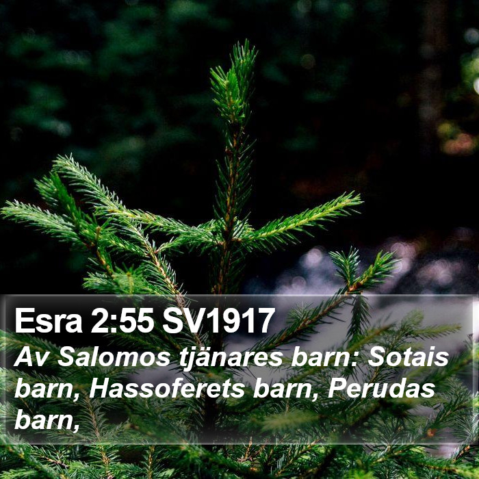 Esra 2:55 SV1917 Bible Study