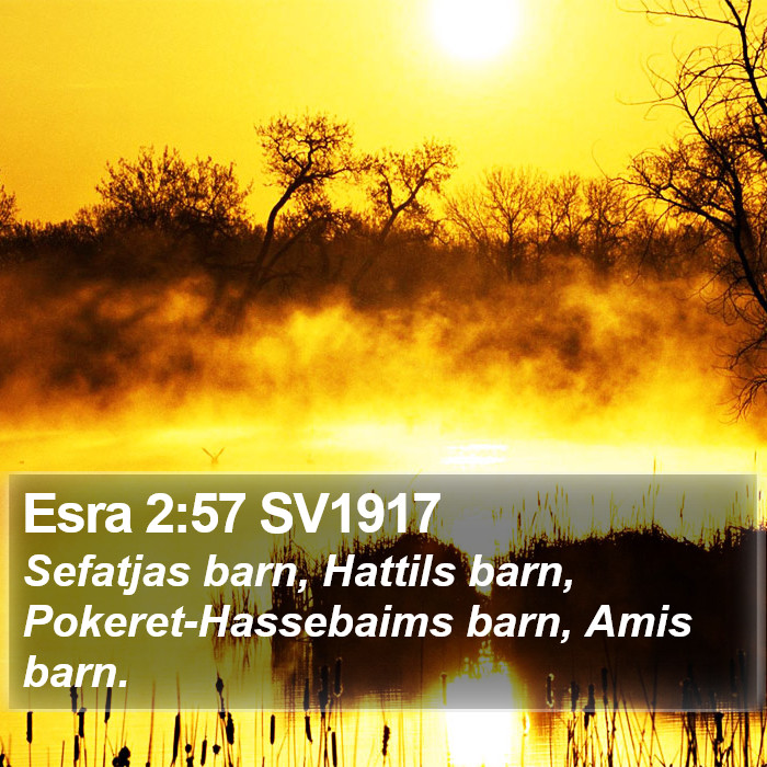 Esra 2:57 SV1917 Bible Study