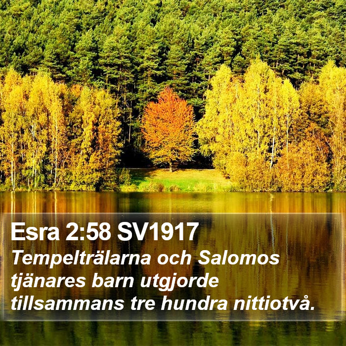 Esra 2:58 SV1917 Bible Study