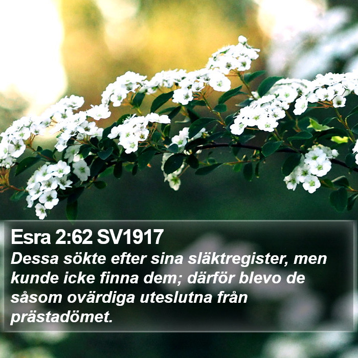 Esra 2:62 SV1917 Bible Study