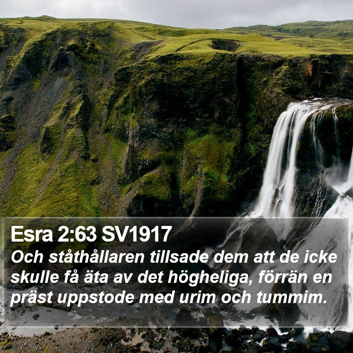 Esra 2:63 SV1917 Bible Study