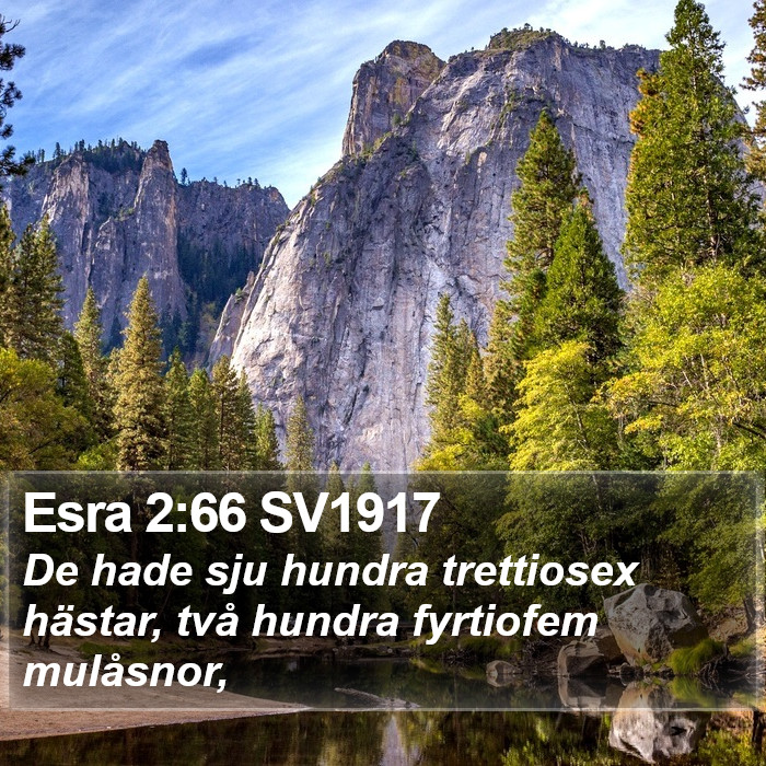 Esra 2:66 SV1917 Bible Study