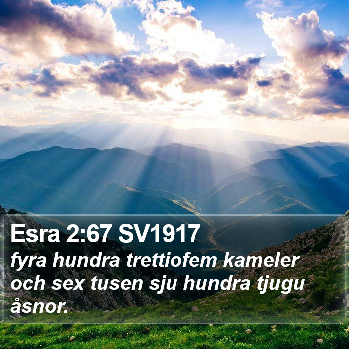 Esra 2:67 SV1917 Bible Study