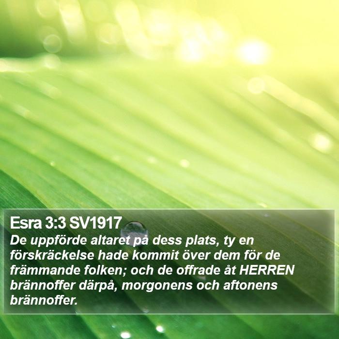 Esra 3:3 SV1917 Bible Study