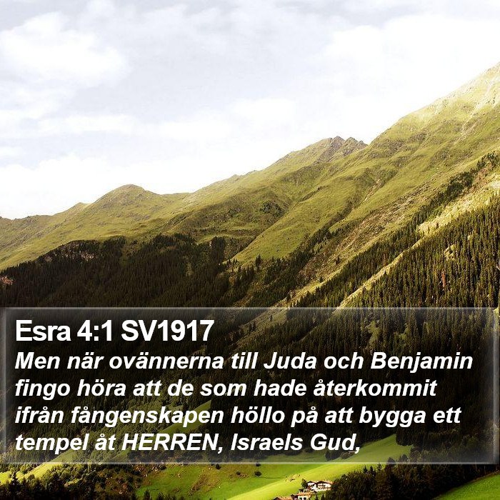 Esra 4:1 SV1917 Bible Study