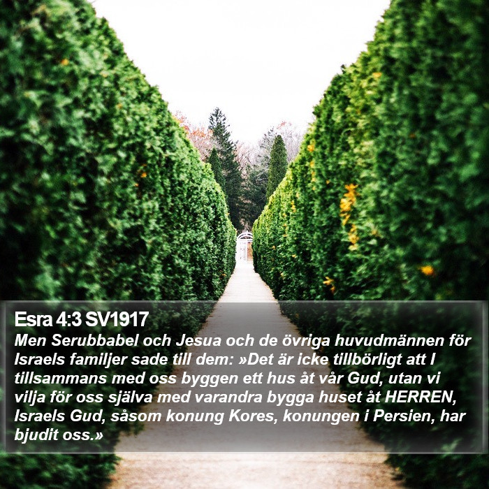 Esra 4:3 SV1917 Bible Study