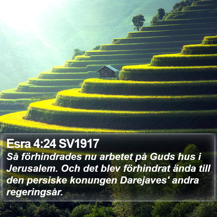 Esra 4:24 SV1917 Bible Study