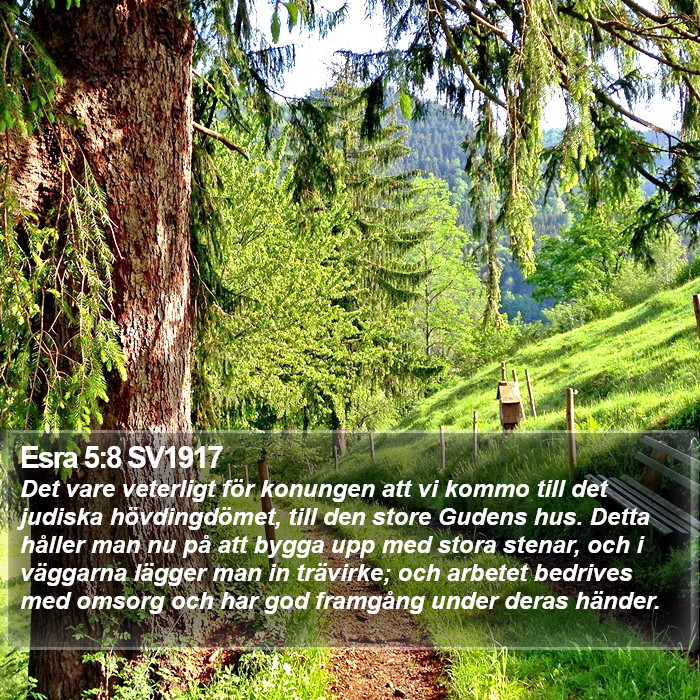 Esra 5:8 SV1917 Bible Study