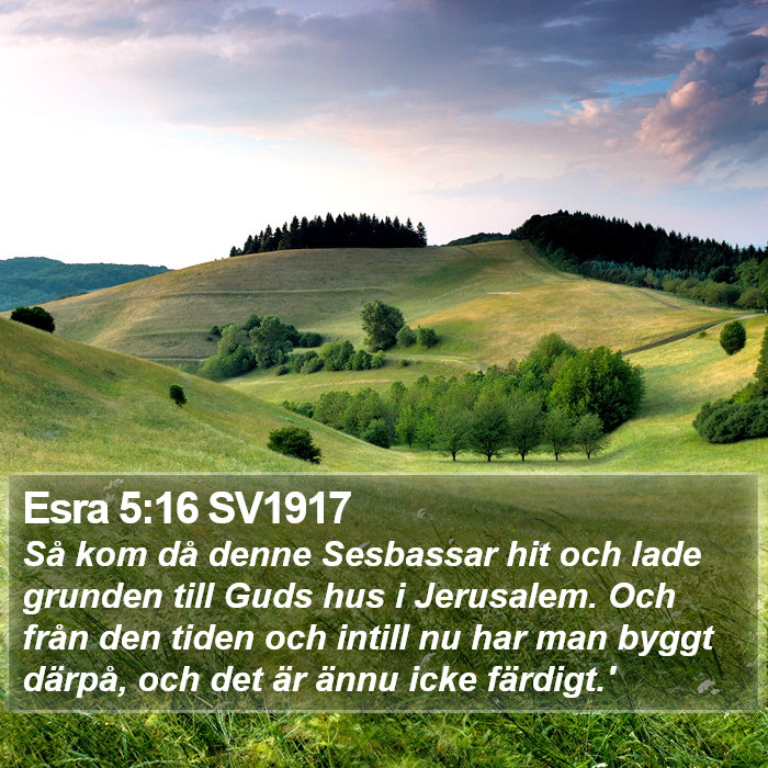 Esra 5:16 SV1917 Bible Study