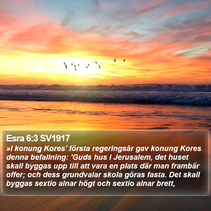 Esra 6:3 SV1917 Bible Study